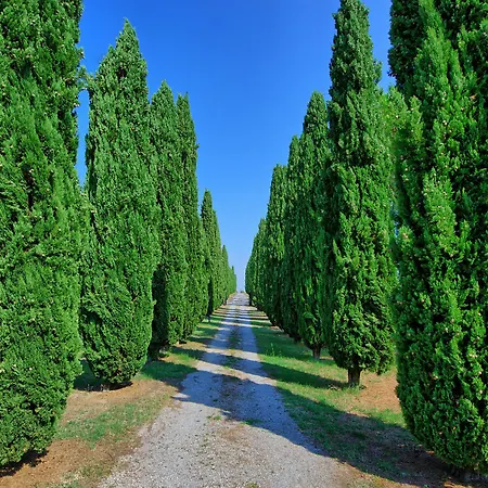 Casale Giulio * Sarteano